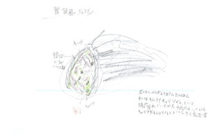 ハナちゃん大好きっこさん　12さい